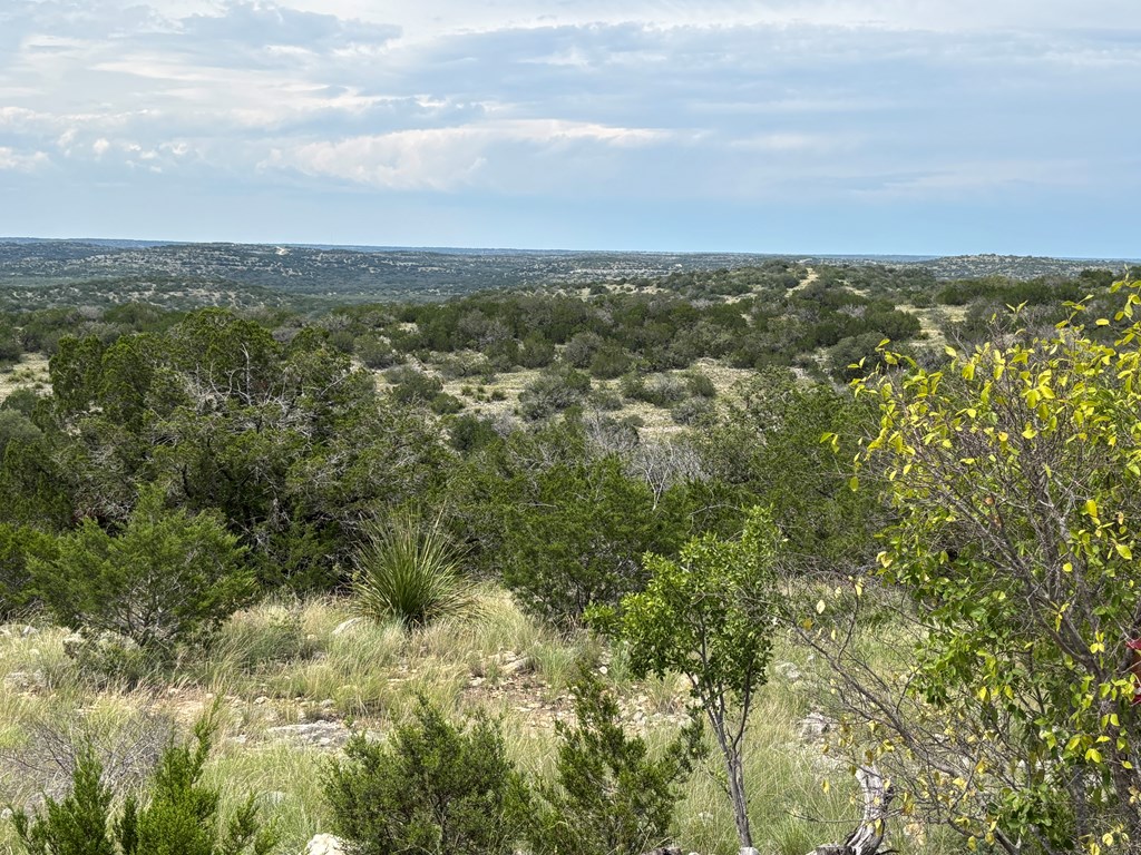 667 Other Rocksprings, TX 78880 - Photo 22 of 30