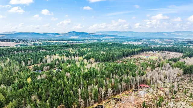 a view of a bunch of plants and trees