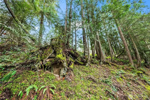 $245,000 | 123 Highland Drive East, Roy, WA 98580