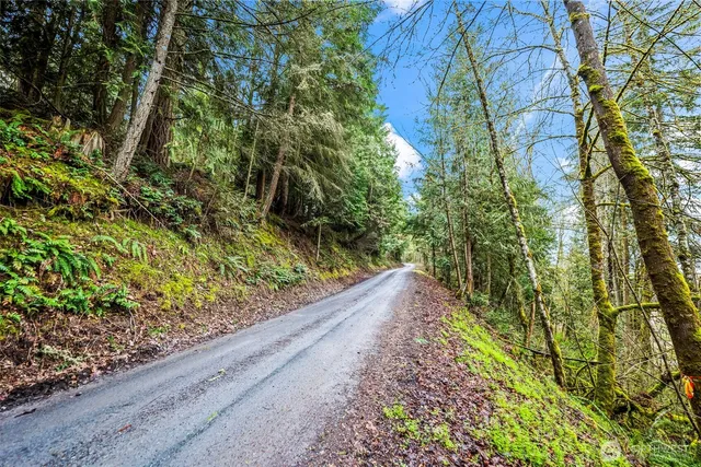a view of a garden with plants