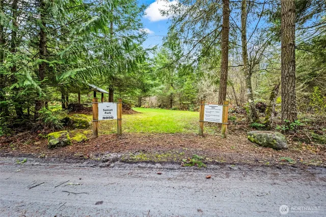 a view of a yard with plants and trees