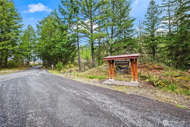 a view of a house with backyard and a tree