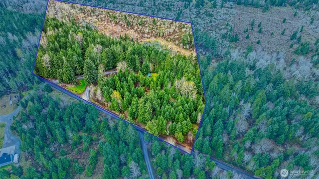 a view of a yard with plants and wooden fence