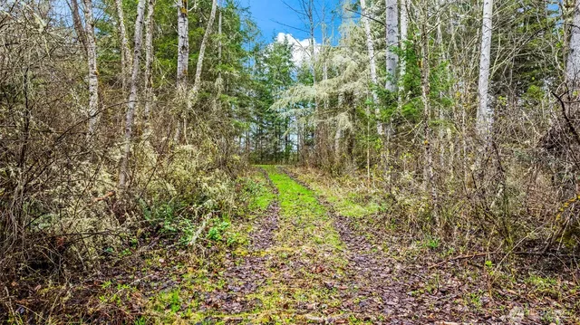 a view of outdoor space and garden