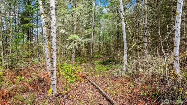 $245,000 | 123 Highland Drive East, Roy, WA 98580