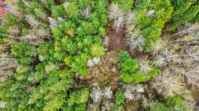 a plant view in yard