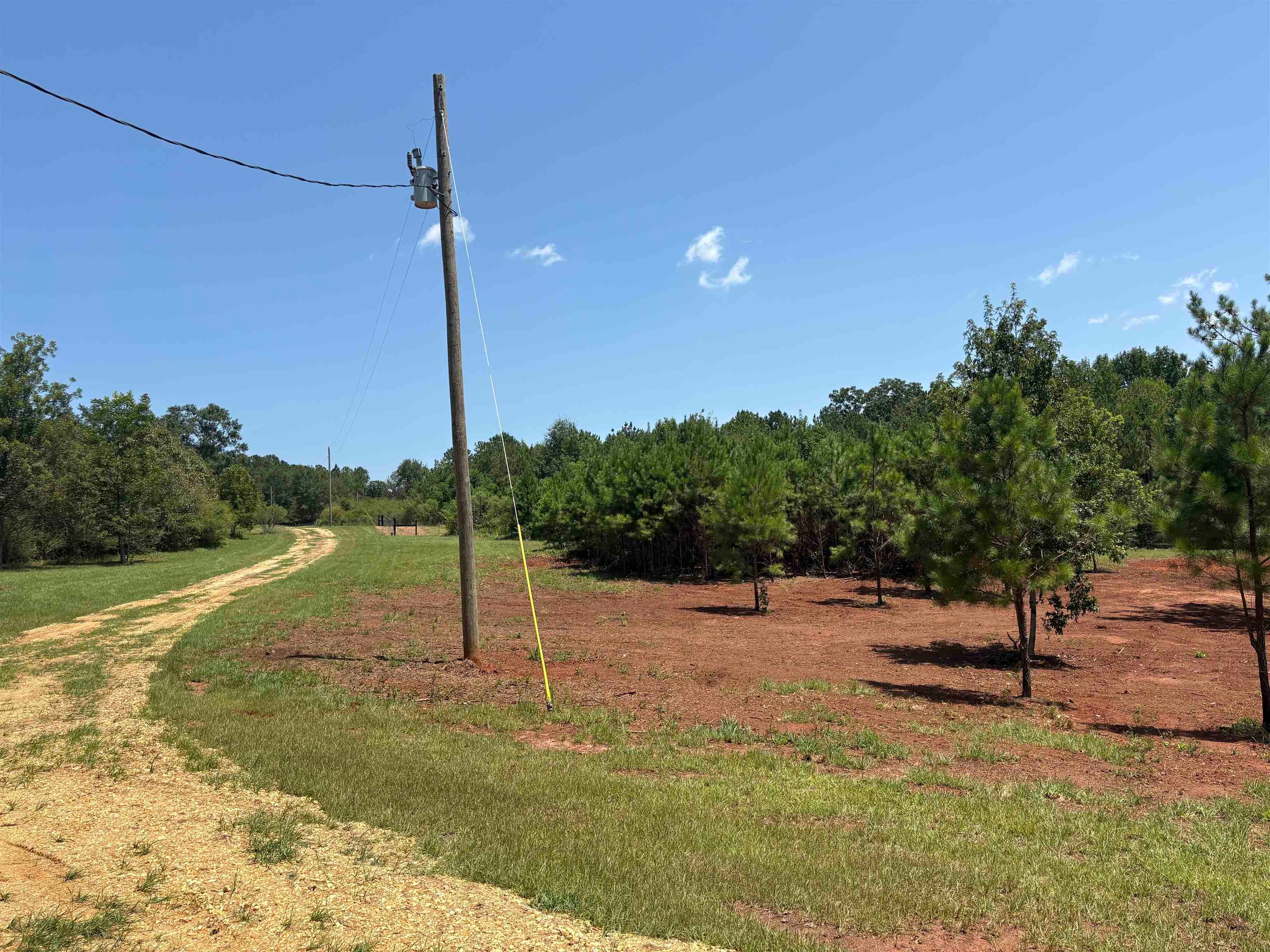 3875 North Mt Zion Road Honoraville, AL 36042 - Photo 7 of 14 Gallery Image 7