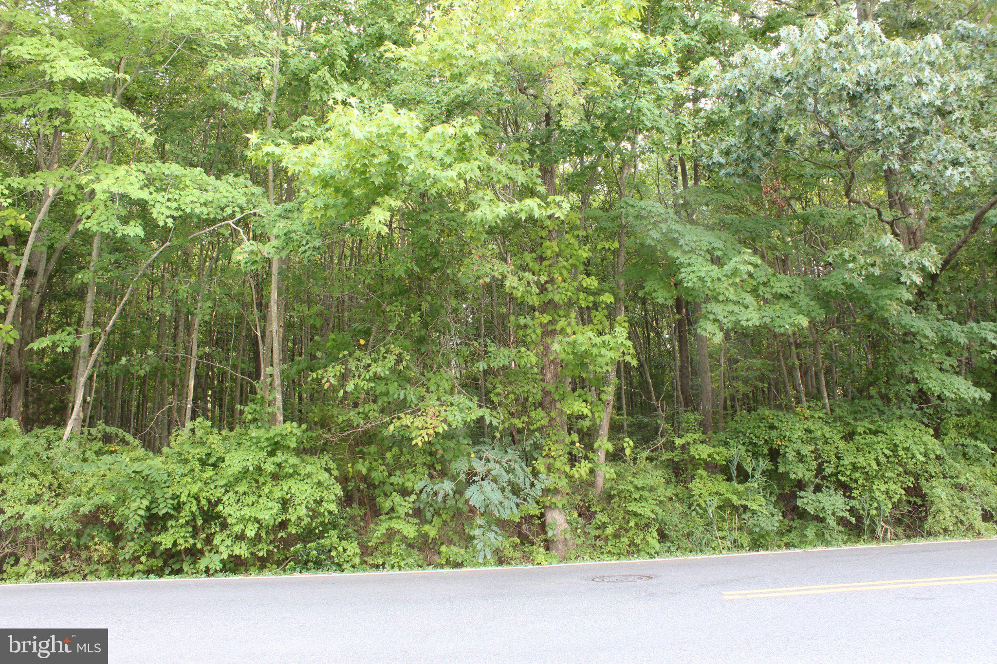 1495 Cedarhurst Road Shady Side, MD 20764 - Photo 17 of 36 View of property 2