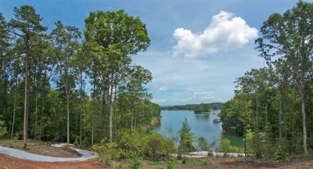 New Cut/kariker Roads Seneca, SC 29672 - Photo 4 of 24 Gallery Image 4