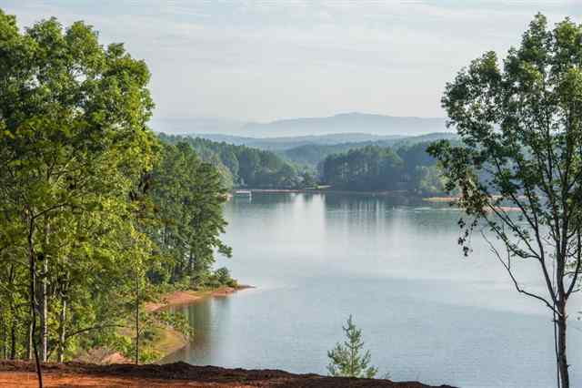 New Cut/kariker Roads Seneca, SC 29672 - Photo 6 of 24 Gallery Image 6