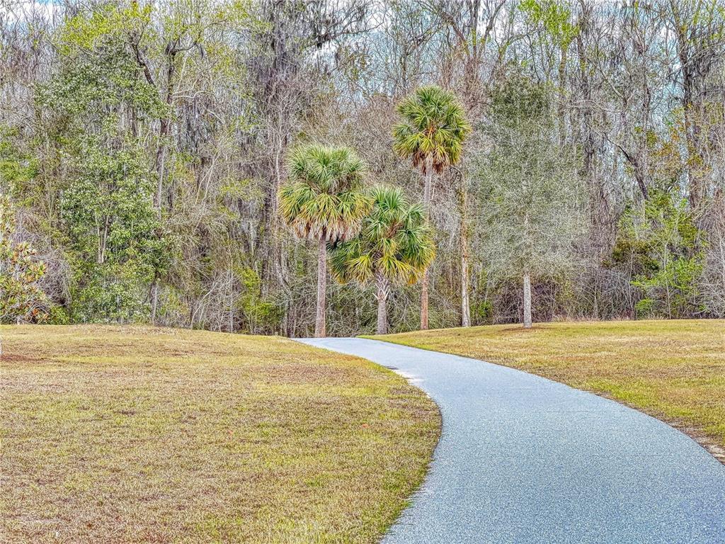 904 Maynard Path The Villages, FL 32163 - Photo 4 of 43