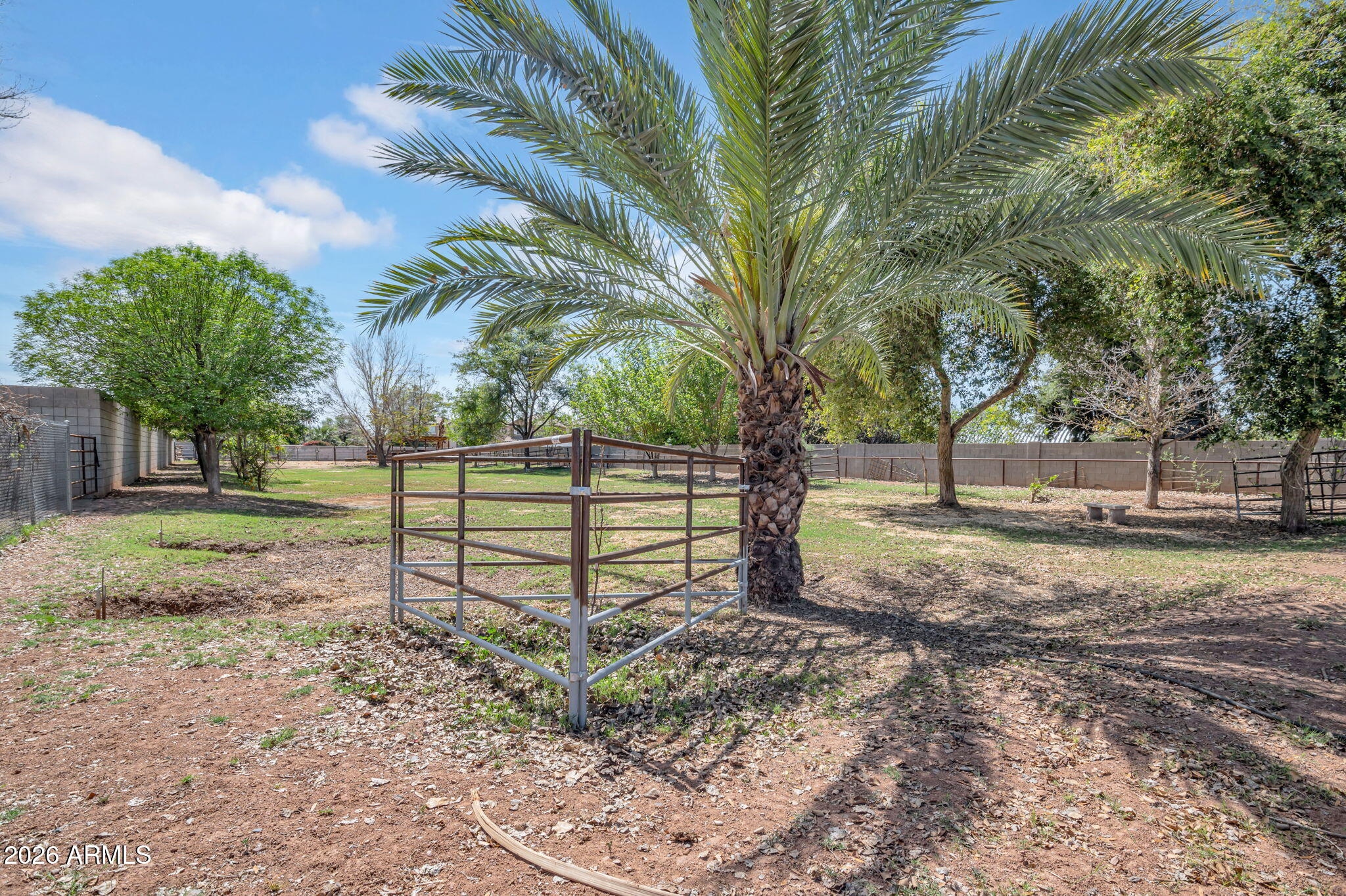159 East Water Tank Road Gilbert, AZ 85296 - Photo 33 of 45 a view of a park with large trees