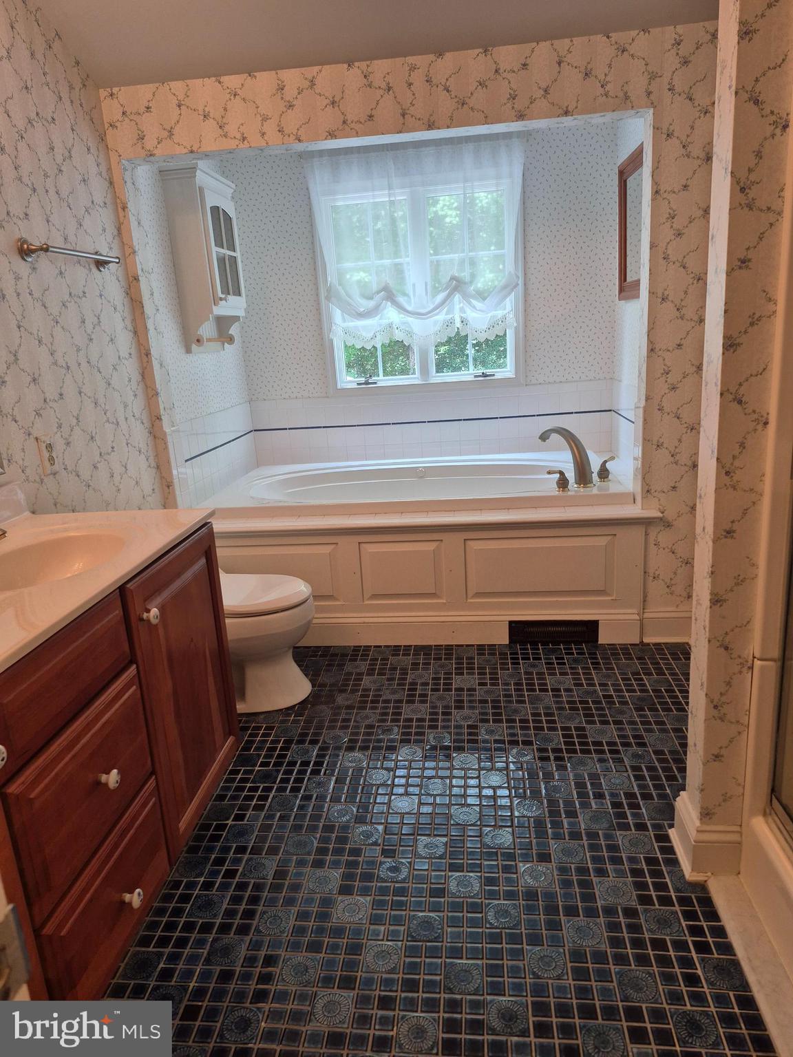 3896 5 Friars Road Salisbury, MD 21804 - Photo 36 of 60 Jacuzzi tub + walk in shower in Hall bath