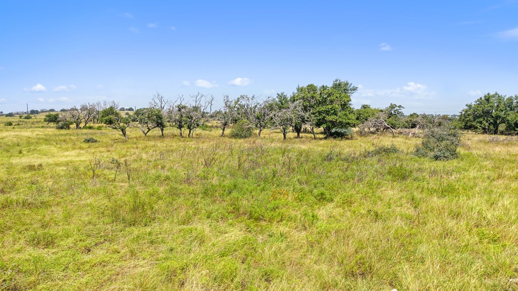 51 Reeh Road, Unit 51 Fredericksburg, TX 78624 - Photo 18 of 37 Gallery Image 18