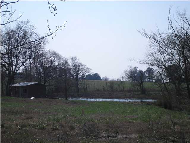 449 County Rd 523 Fyffe, AL 35971 - Photo 3 of 12 Additional Photo