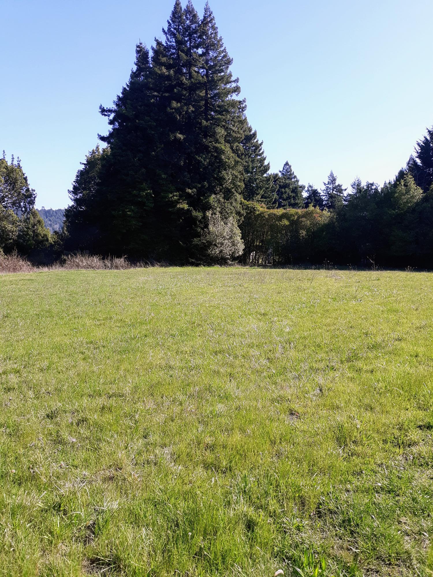 111 Deer Creek Road Hydesville, CA 95547 - Photo 1 of 1 Gallery Image 1