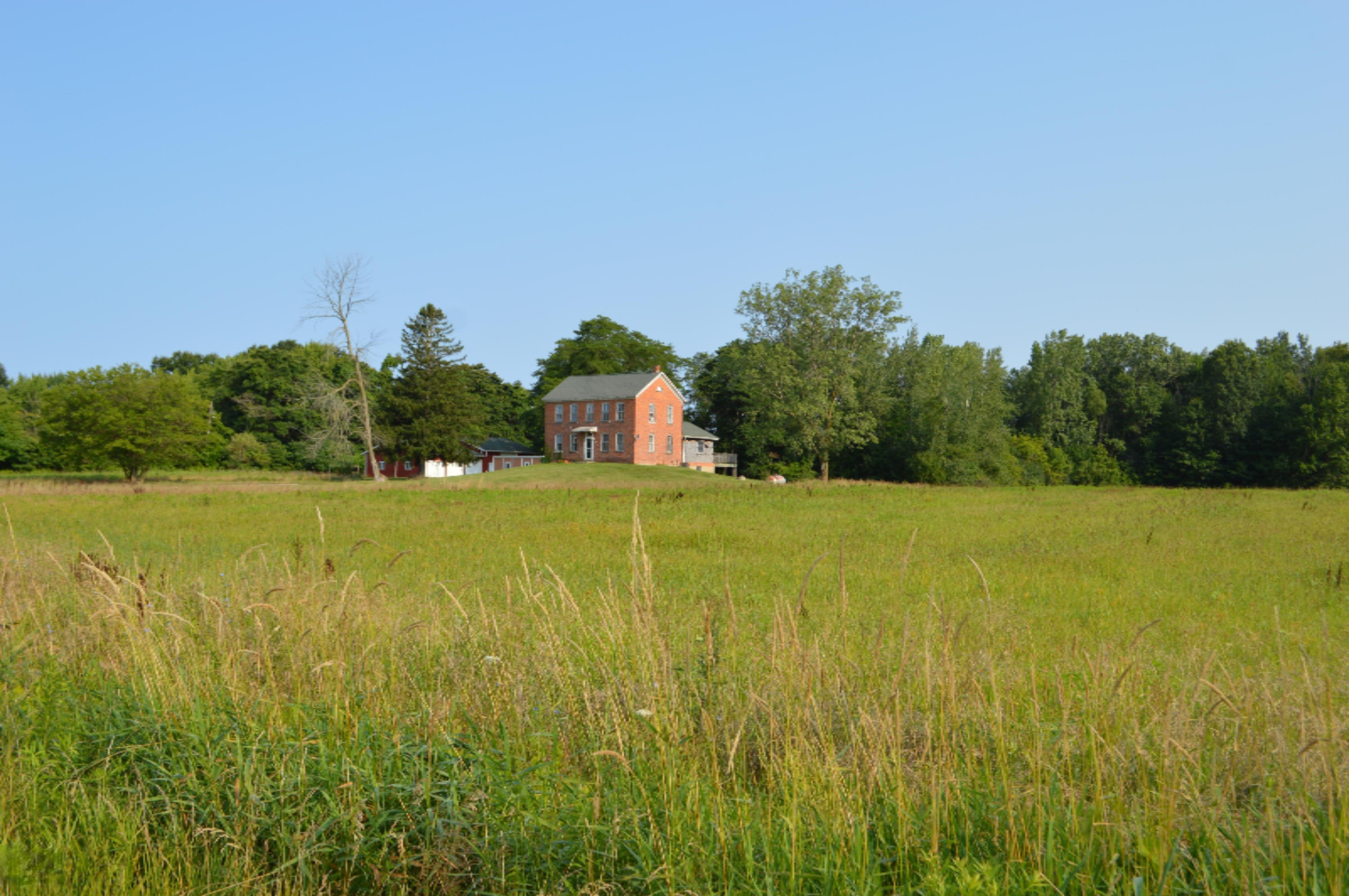 10663 Wilson Road New Buffalo, MI 49117 - Photo 4 of 14 DSC_0334