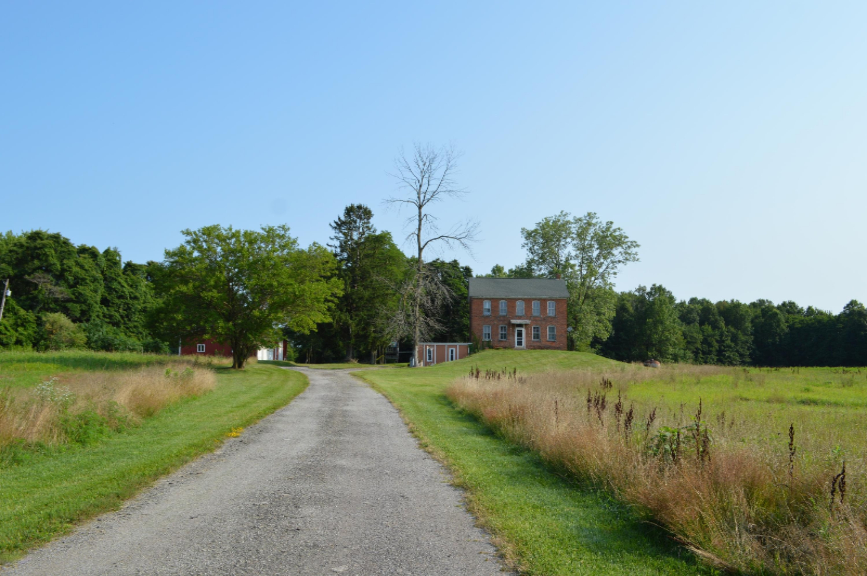 10663 Wilson Road New Buffalo, MI 49117 - Photo 5 of 14 DSC_0329