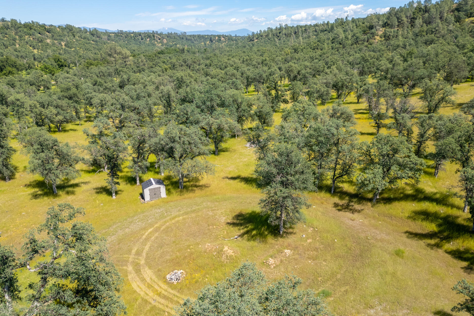 0 Racoon Way Oak Run, CA 96069 - Photo 14 of 39 Racoon015