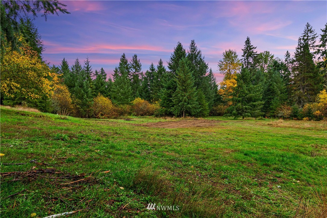 12901 Koeppen Road Southeast Rainier, WA 98576 - Photo 33 of 40 Gallery Image 33