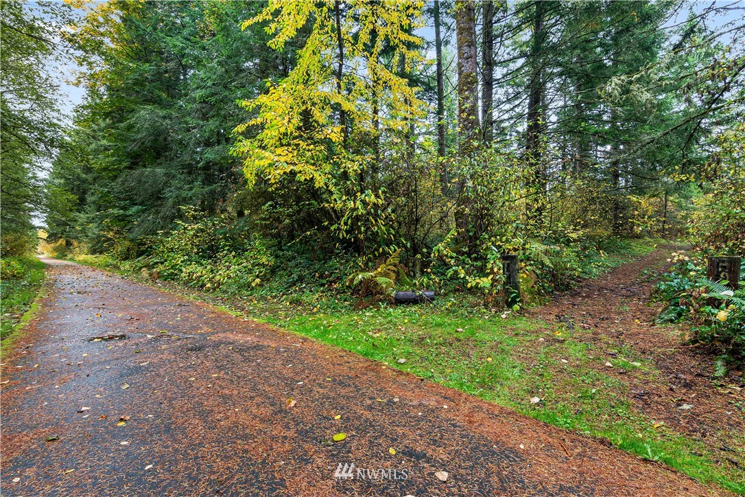 12901 Koeppen Road Southeast Rainier, WA 98576 - Photo 38 of 40 Gallery Image 38