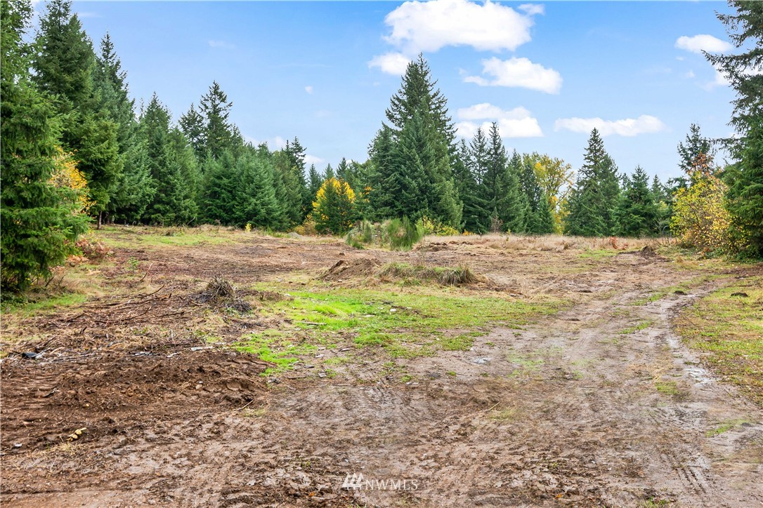 12901 Koeppen Road Southeast Rainier, WA 98576 - Photo 39 of 40 Gallery Image 39