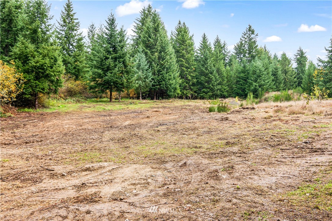 12901 Koeppen Road Southeast Rainier, WA 98576 - Photo 40 of 40 Gallery Image 40