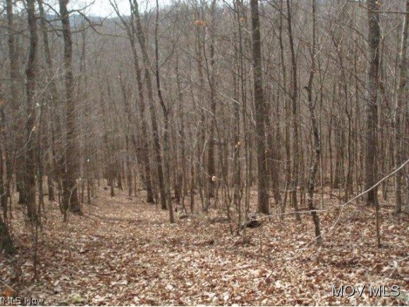 0 C Road Petroleum, WV 26161 - Photo 7 of 10 Gallery Image 7