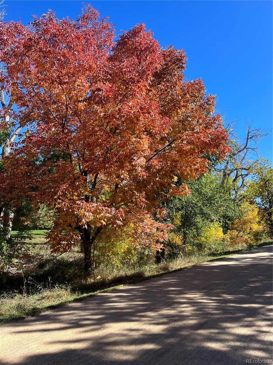 6087 South Elizabeth Way Centennial, CO 80121 - Photo 31 of 36