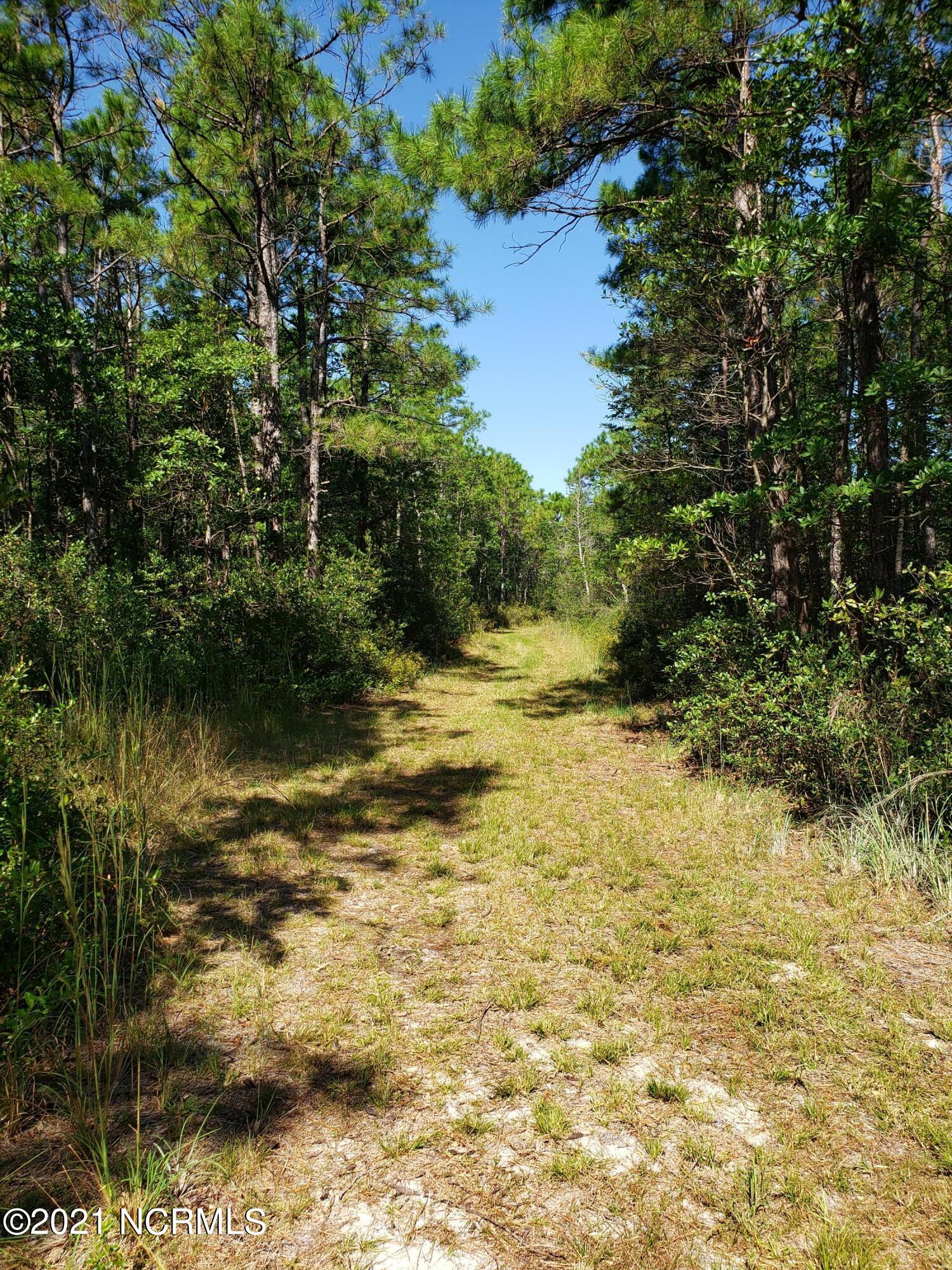 0 Horseman Road Rocky Point, NC 28457 - Photo 8 of 8 trail2