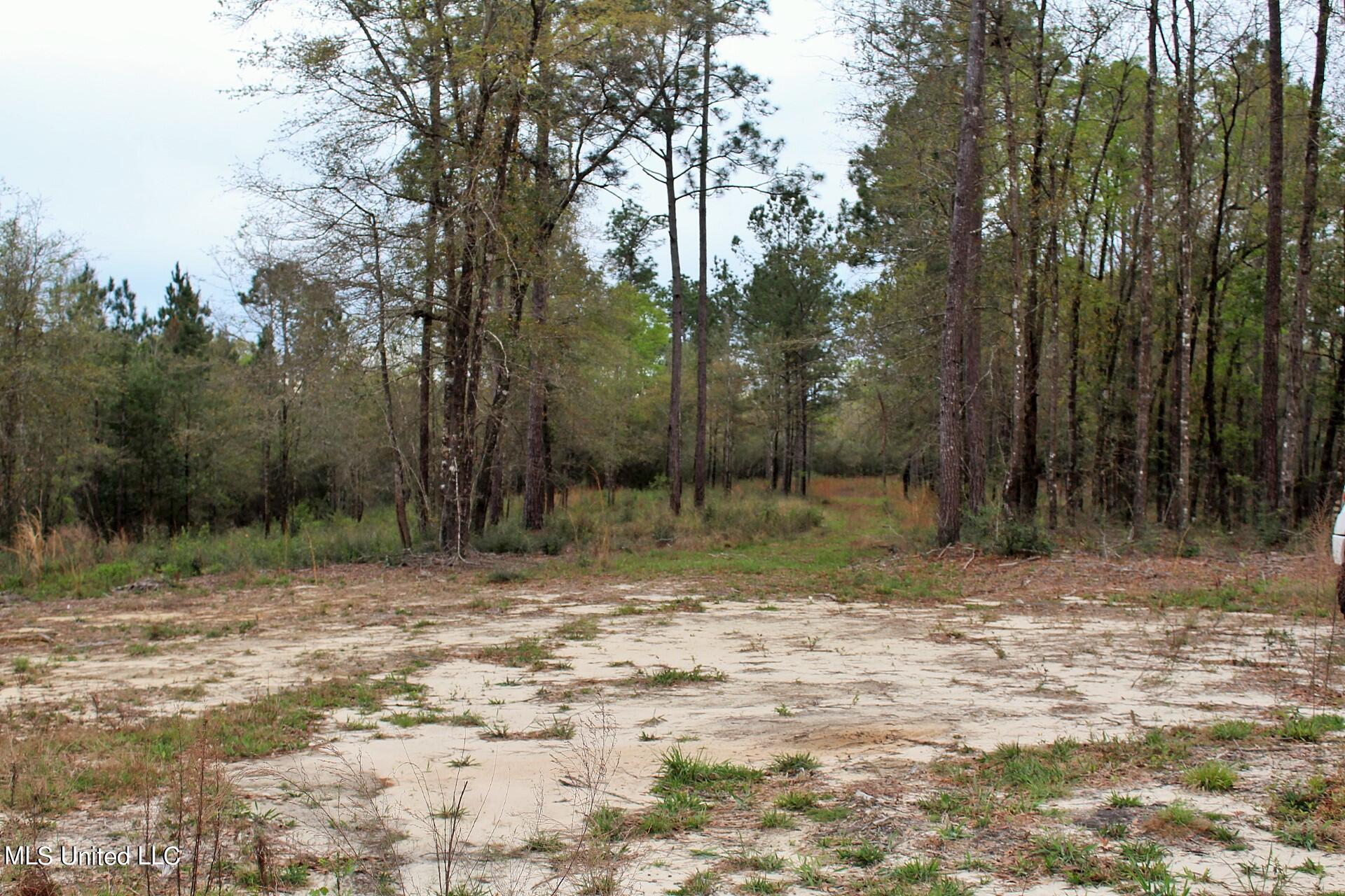 15.30-ac 15.30-ac Doe Ridge Road Lucedale, MS 39452 - Photo 1 of 12 IMG_4537