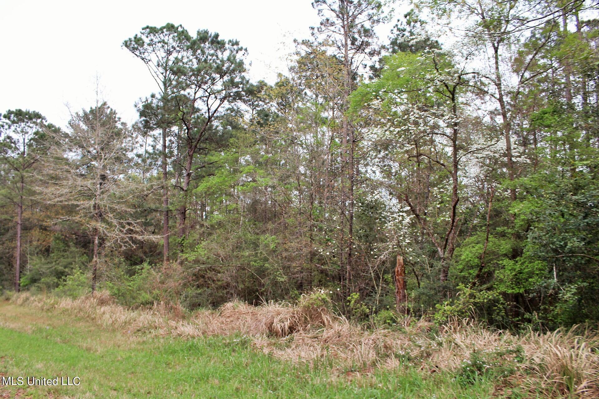 15.30-ac 15.30-ac Doe Ridge Road Lucedale, MS 39452 - Photo 11 of 12 IMG_4547