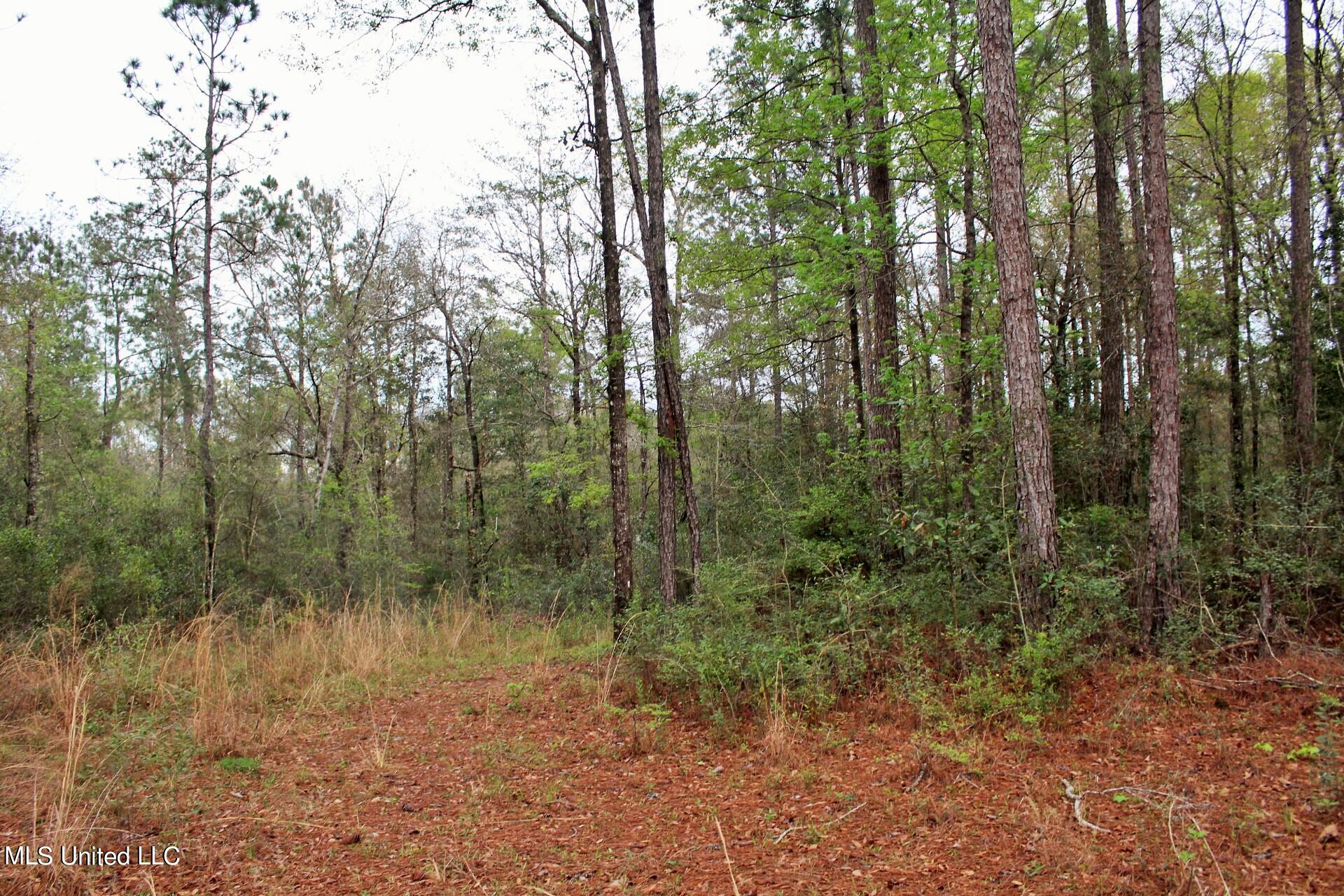 15.30-ac 15.30-ac Doe Ridge Road Lucedale, MS 39452 - Photo 12 of 12 IMG_4548