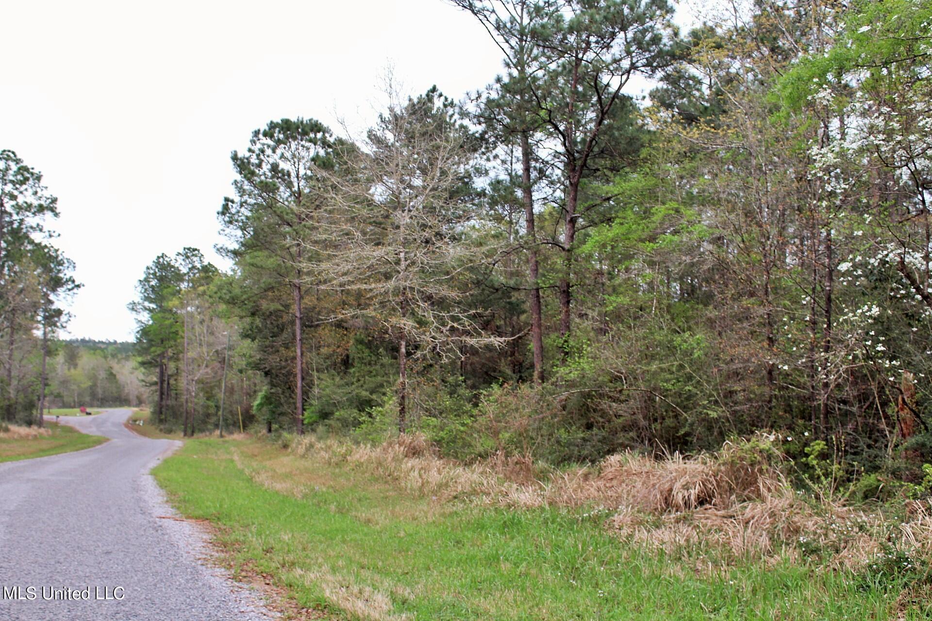 15.30-ac 15.30-ac Doe Ridge Road Lucedale, MS 39452 - Photo 3 of 12 IMG_4544