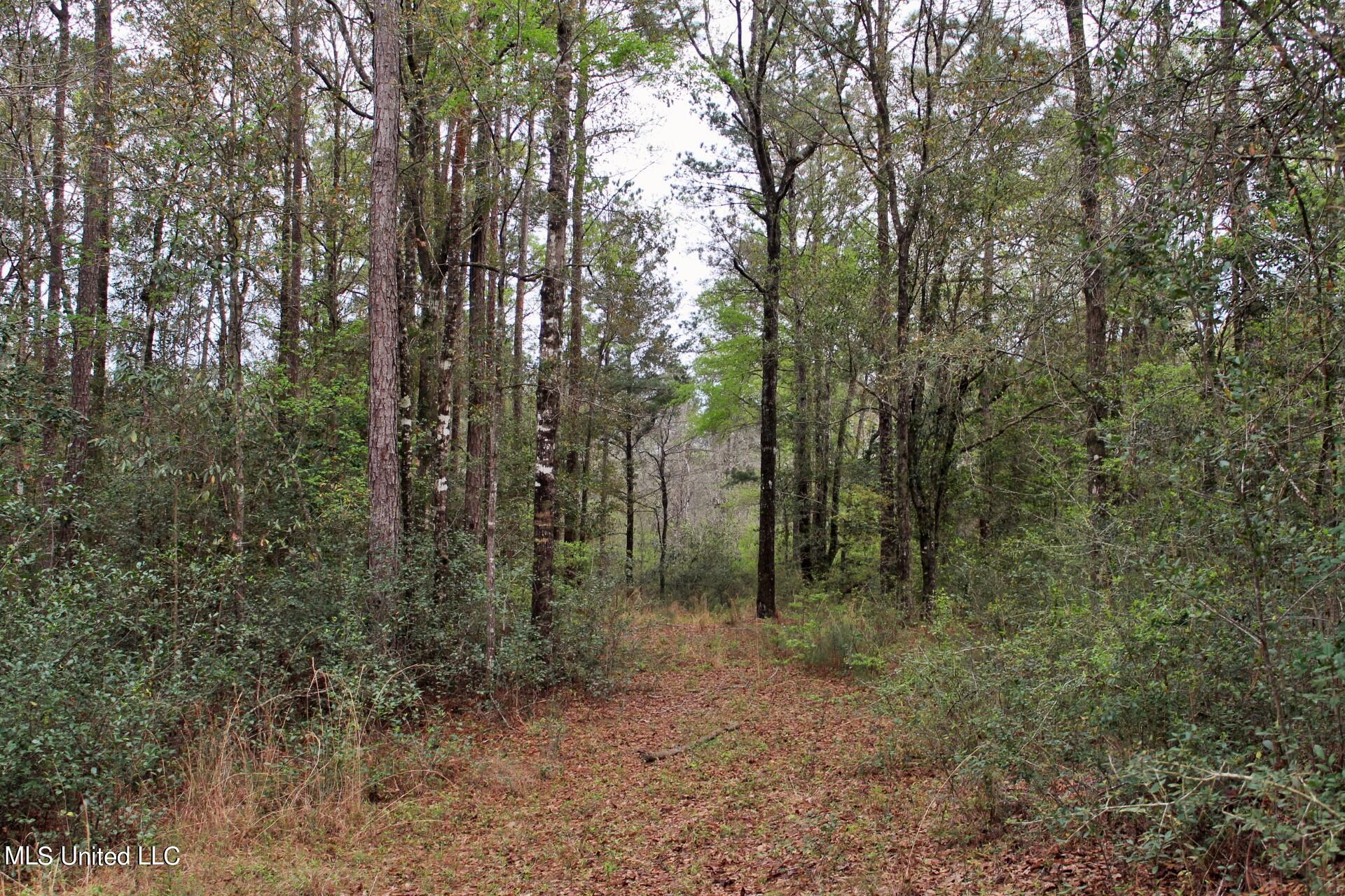 15.30-ac 15.30-ac Doe Ridge Road Lucedale, MS 39452 - Photo 5 of 12 IMG_4552