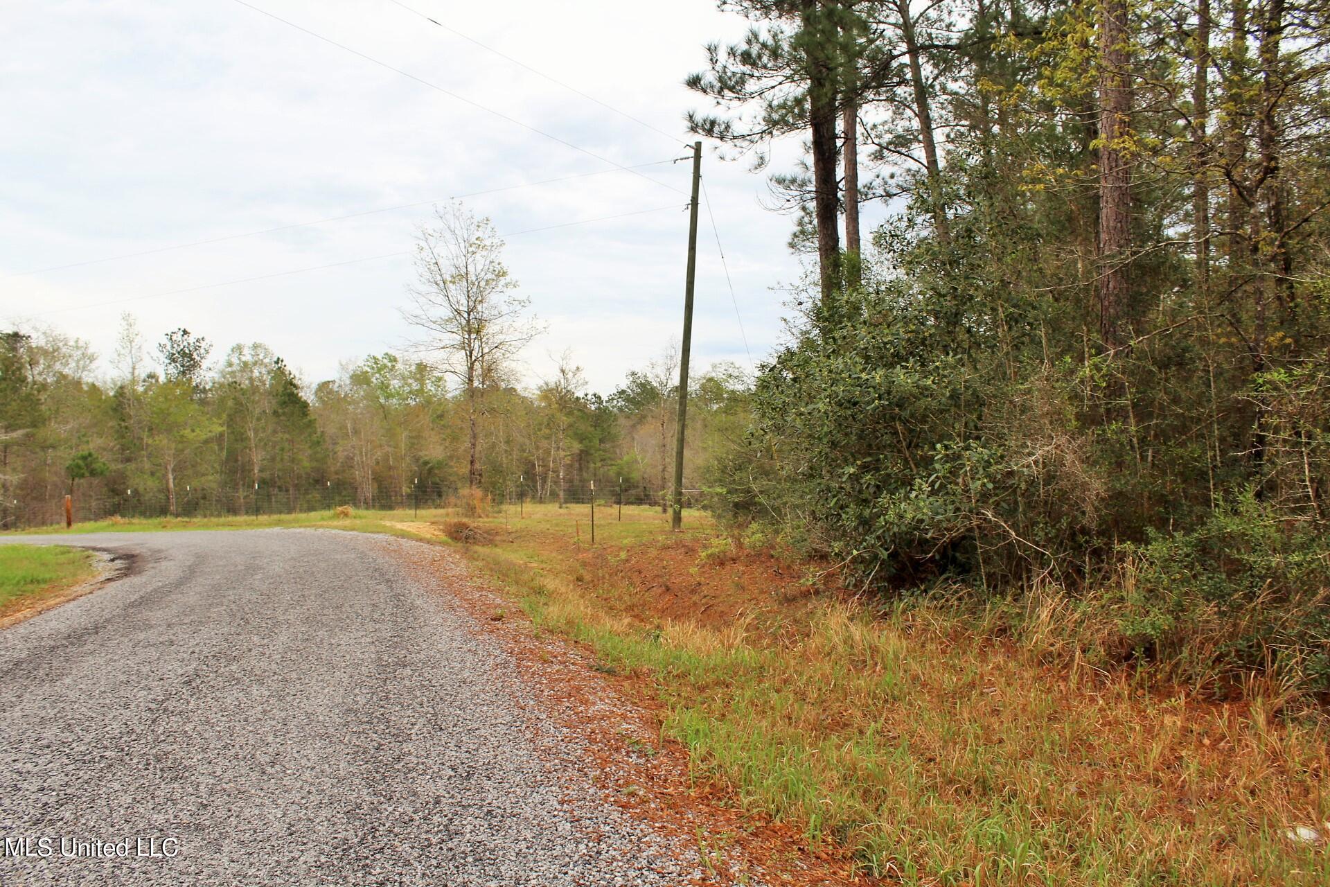 15.30-ac 15.30-ac Doe Ridge Road Lucedale, MS 39452 - Photo 7 of 12 IMG_4535