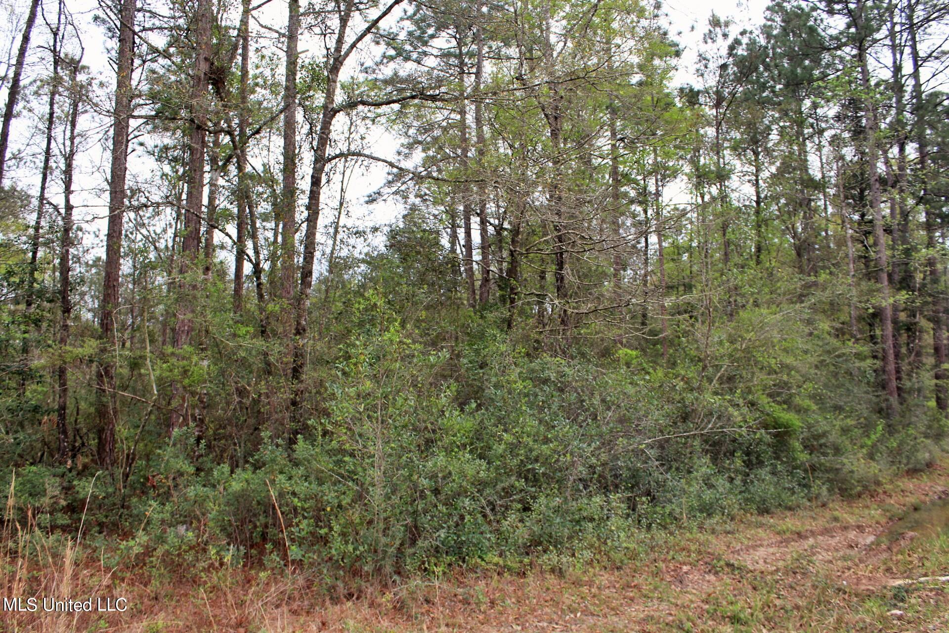 15.30-ac 15.30-ac Doe Ridge Road Lucedale, MS 39452 - Photo 8 of 12 IMG_4534