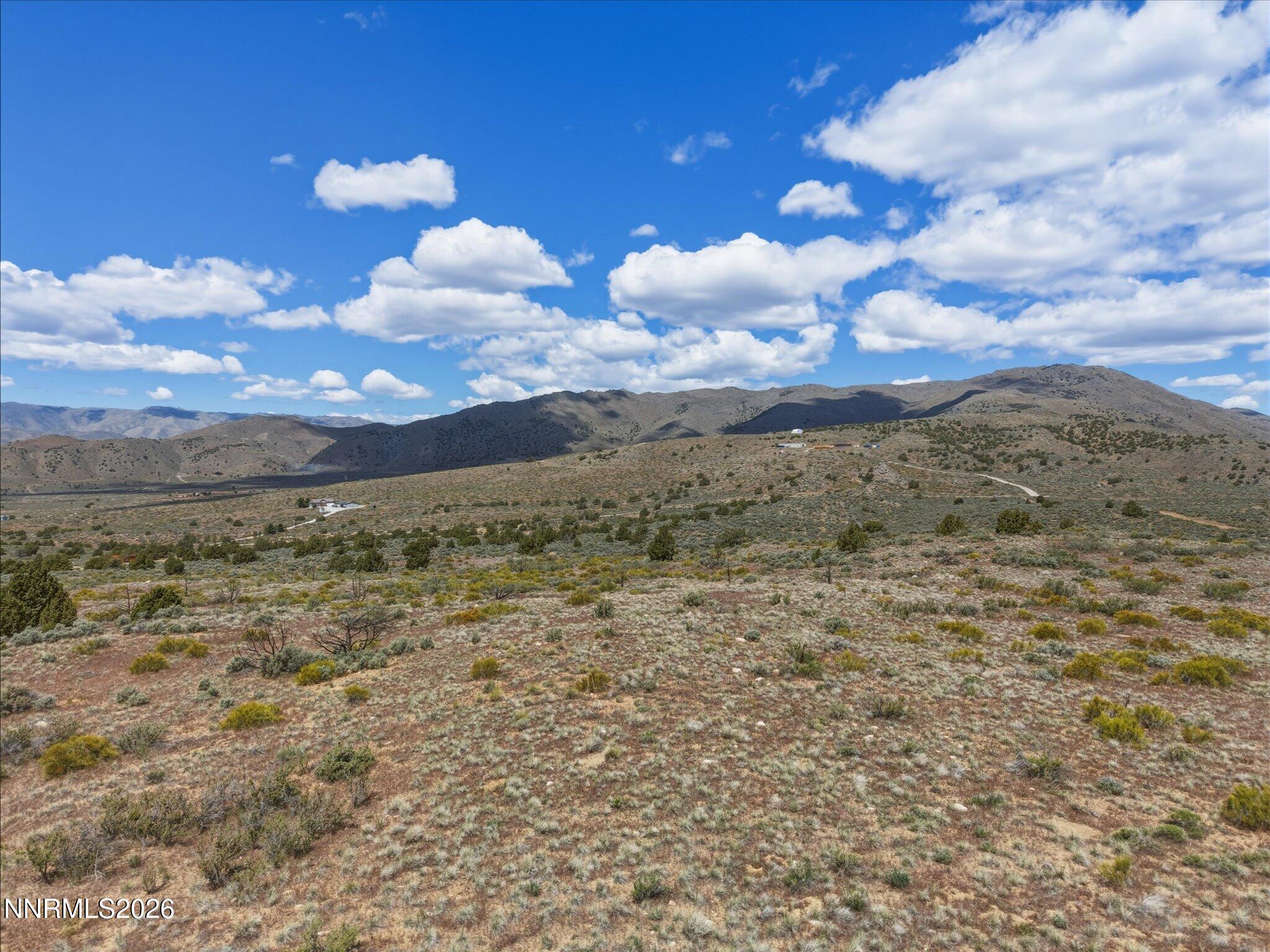 1325 Antelope Valley Road Reno, NV 89506 - Photo 8 of 20 a view of a dry yard with trees