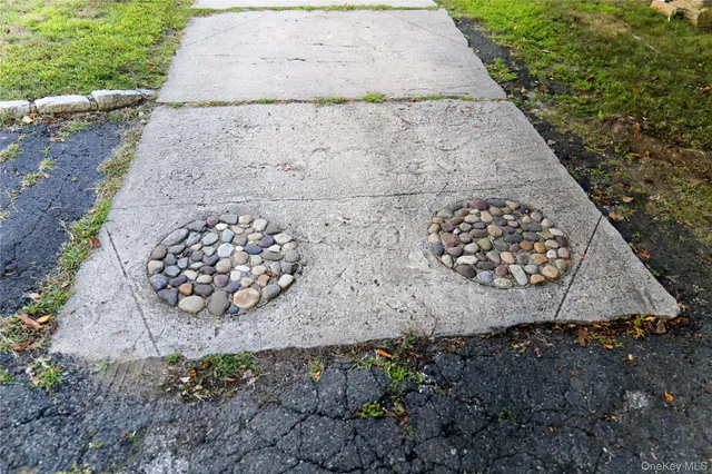 a view of yard with trees