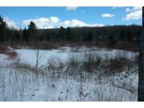 514 Sapbush Road Chenango Forks, NY 13746 - Photo 6 of 12 Gallery Image 6