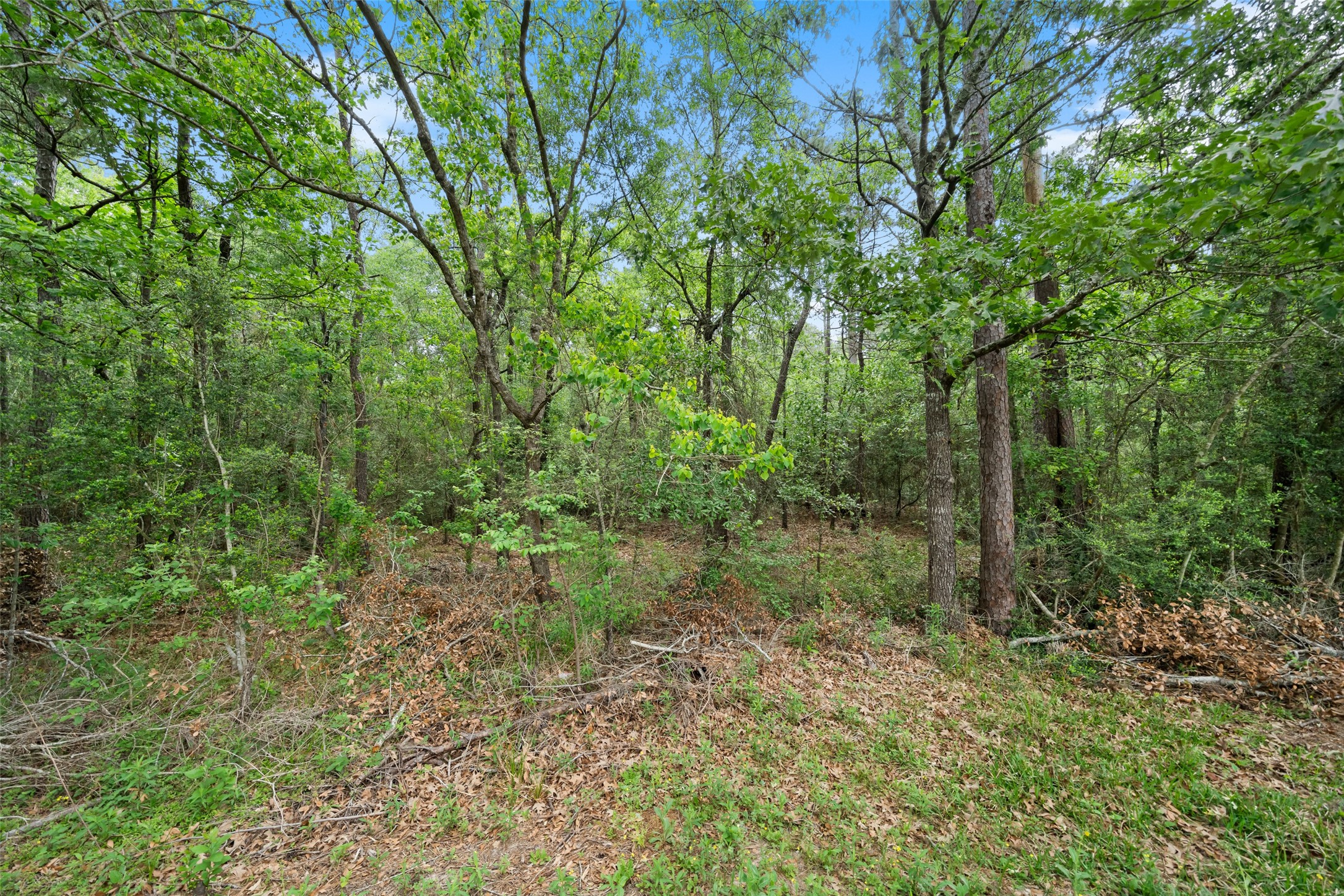 18118 Outback Lakes Trail Humble, TX 77346 - Photo 48 of 50