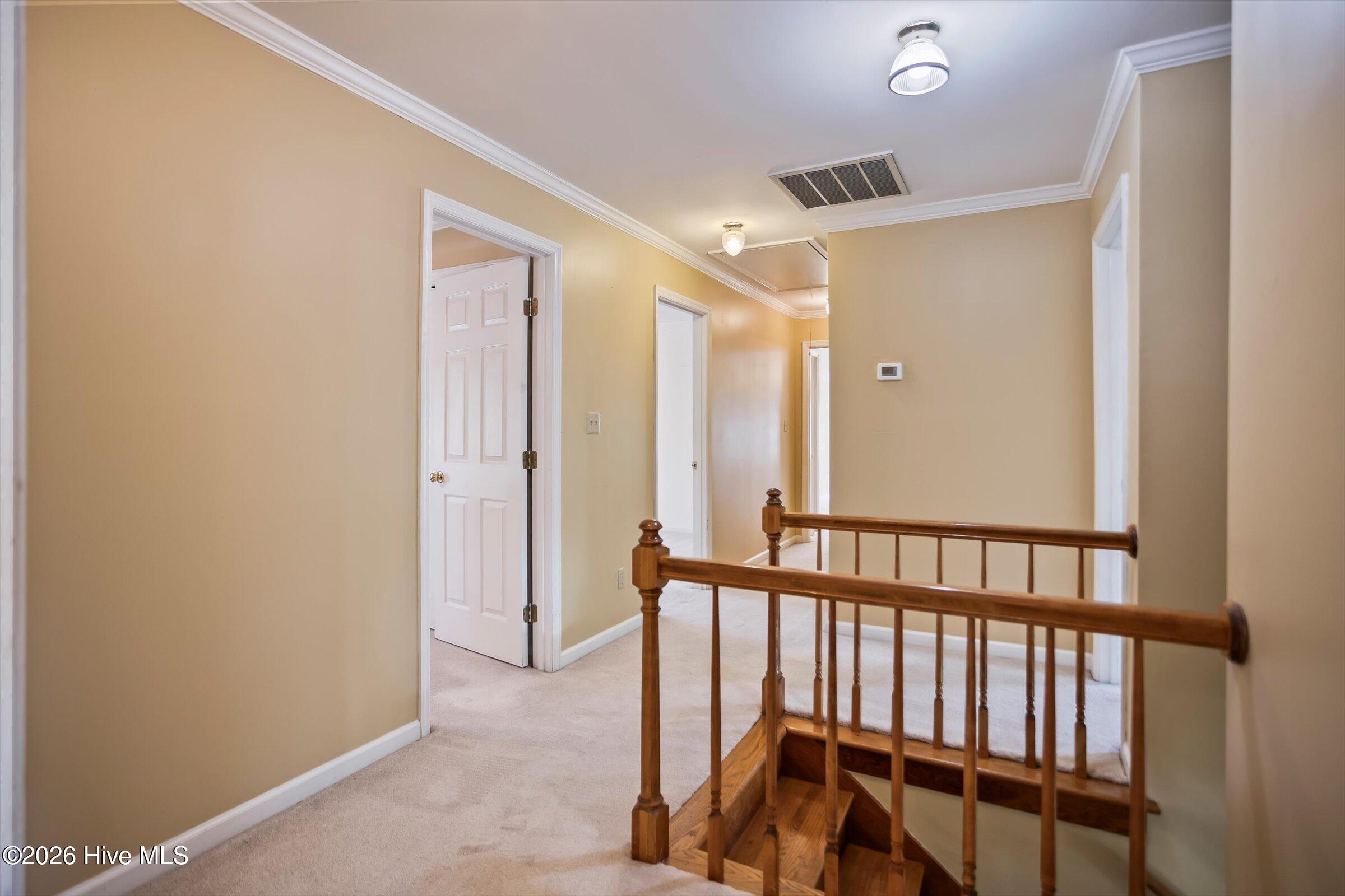 853 Sparkleberry Road Evans, GA 30809 - Photo 49 of 73 49-4G7A8545