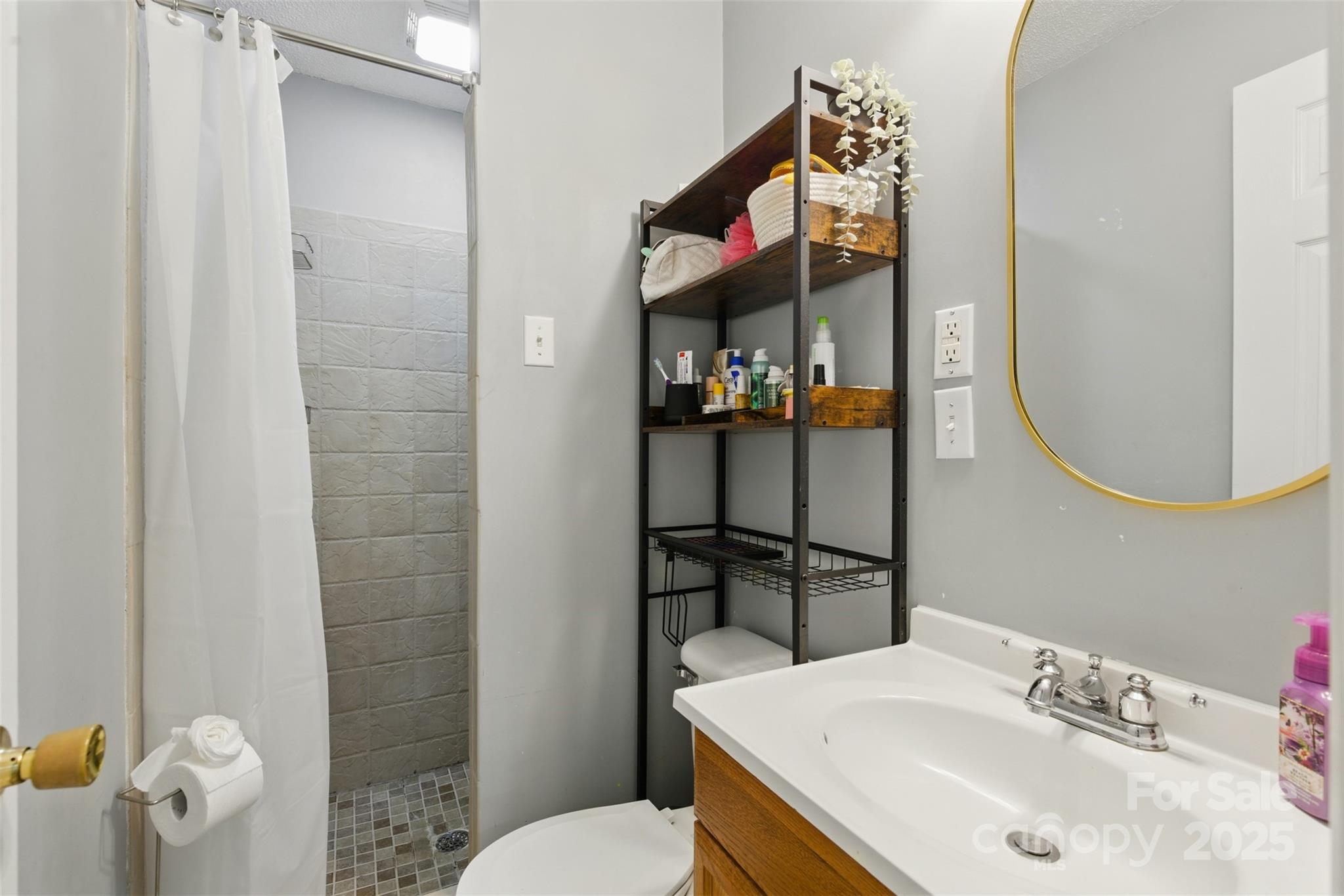 4230 Train Chaser Place Fort Mill, SC 29707 - Photo 16 of 31 a bathroom with a sink toilet and mirror