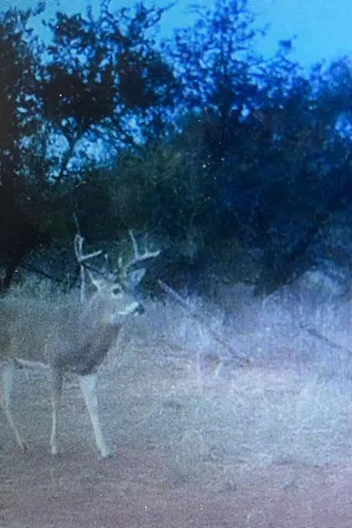 $155,790 | 1168 St Paducah Tx 79248, Paducah, TX 79248