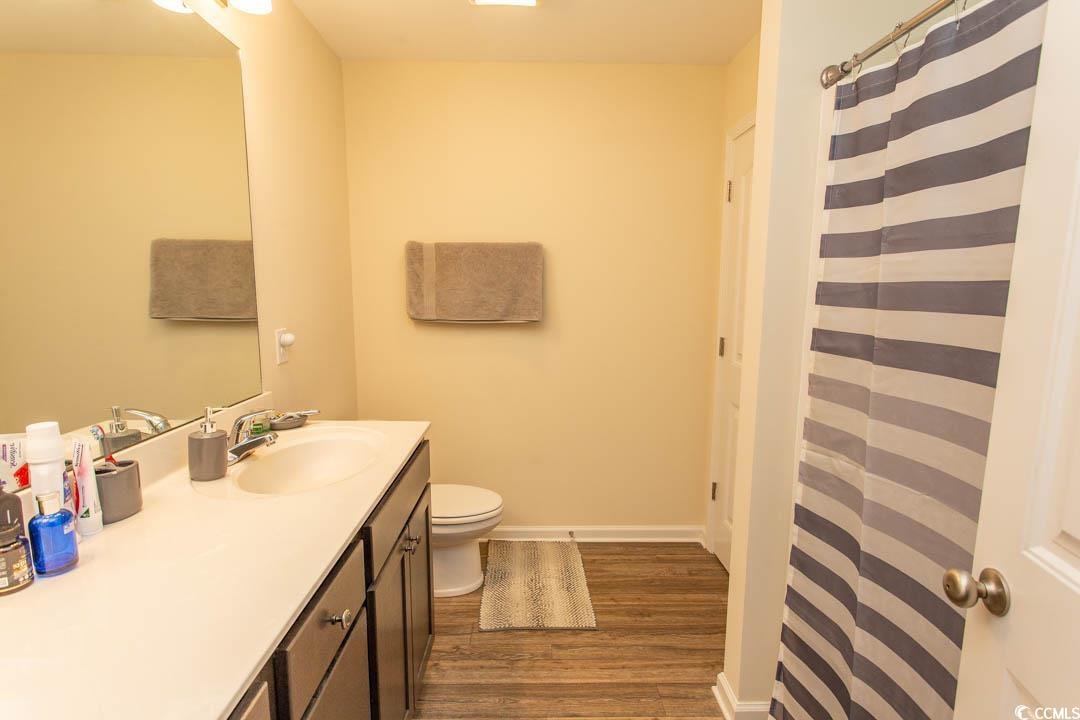 125 St Barnabus Road Loris, SC 29569 - Photo 23 of 39 Bathroom with vanity, hardwood / wood-style floori