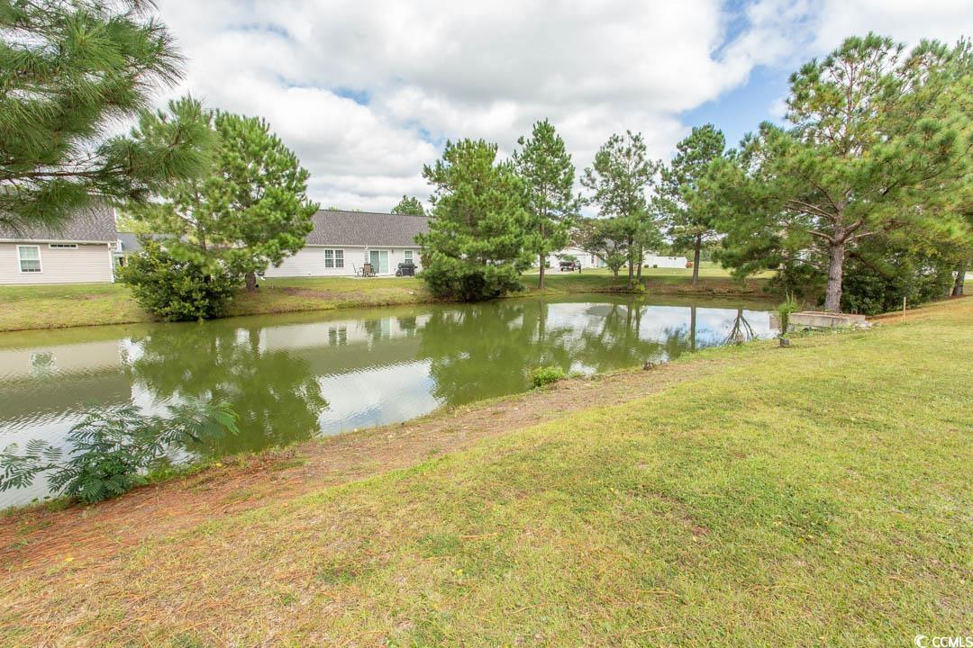 125 St Barnabus Road Loris, SC 29569 - Photo 3 of 39 View of water feature