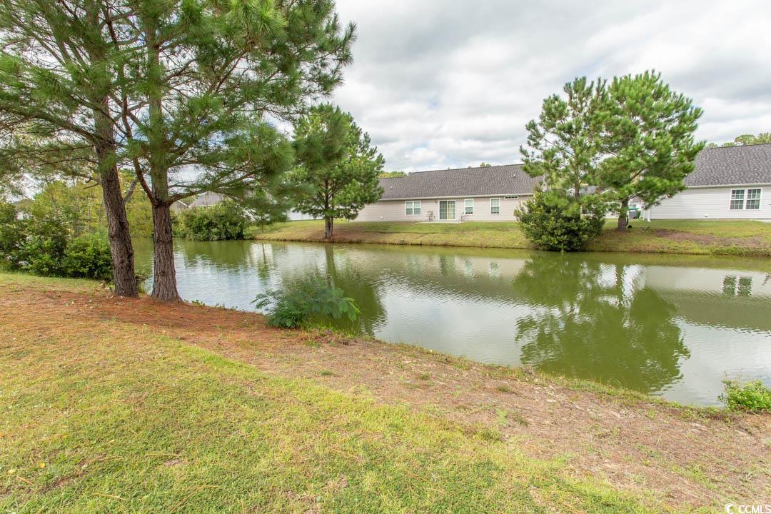 125 St Barnabus Road Loris, SC 29569 - Photo 4 of 39 View of water feature