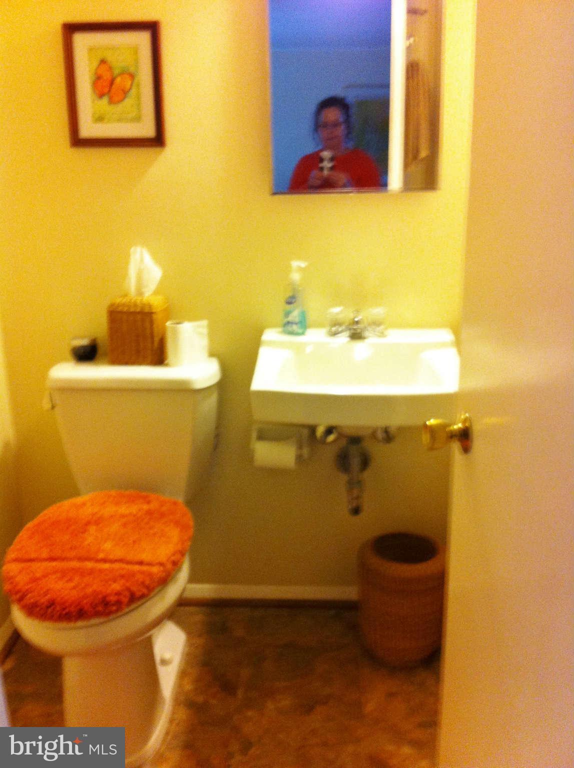 3900 Setonhurst Road Baltimore, MD 21208 - Photo 10 of 20 a bathroom with a toilet and a sink
