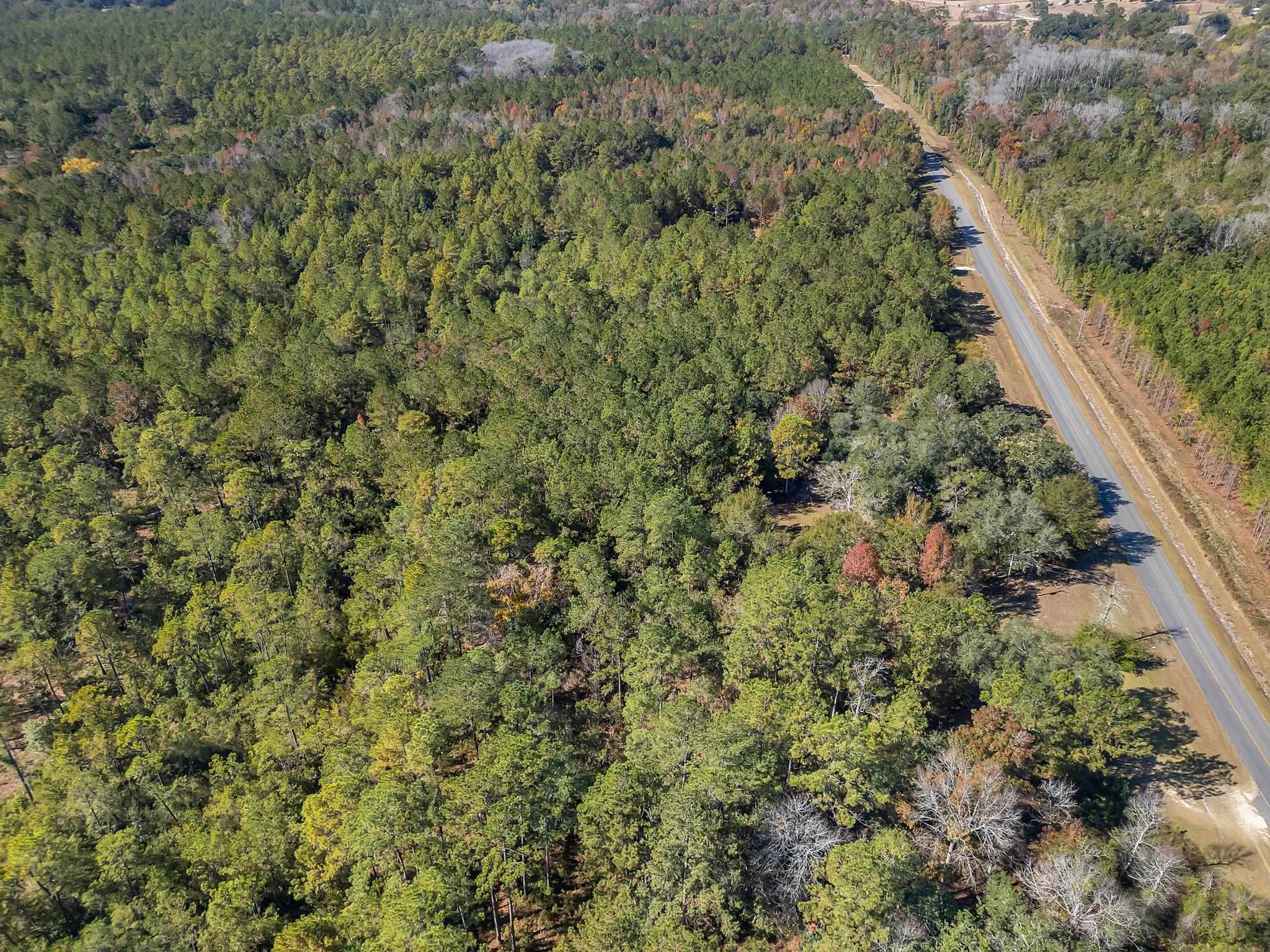 2503 Rabon Road Monticello, FL 32344 - Photo 4 of 29