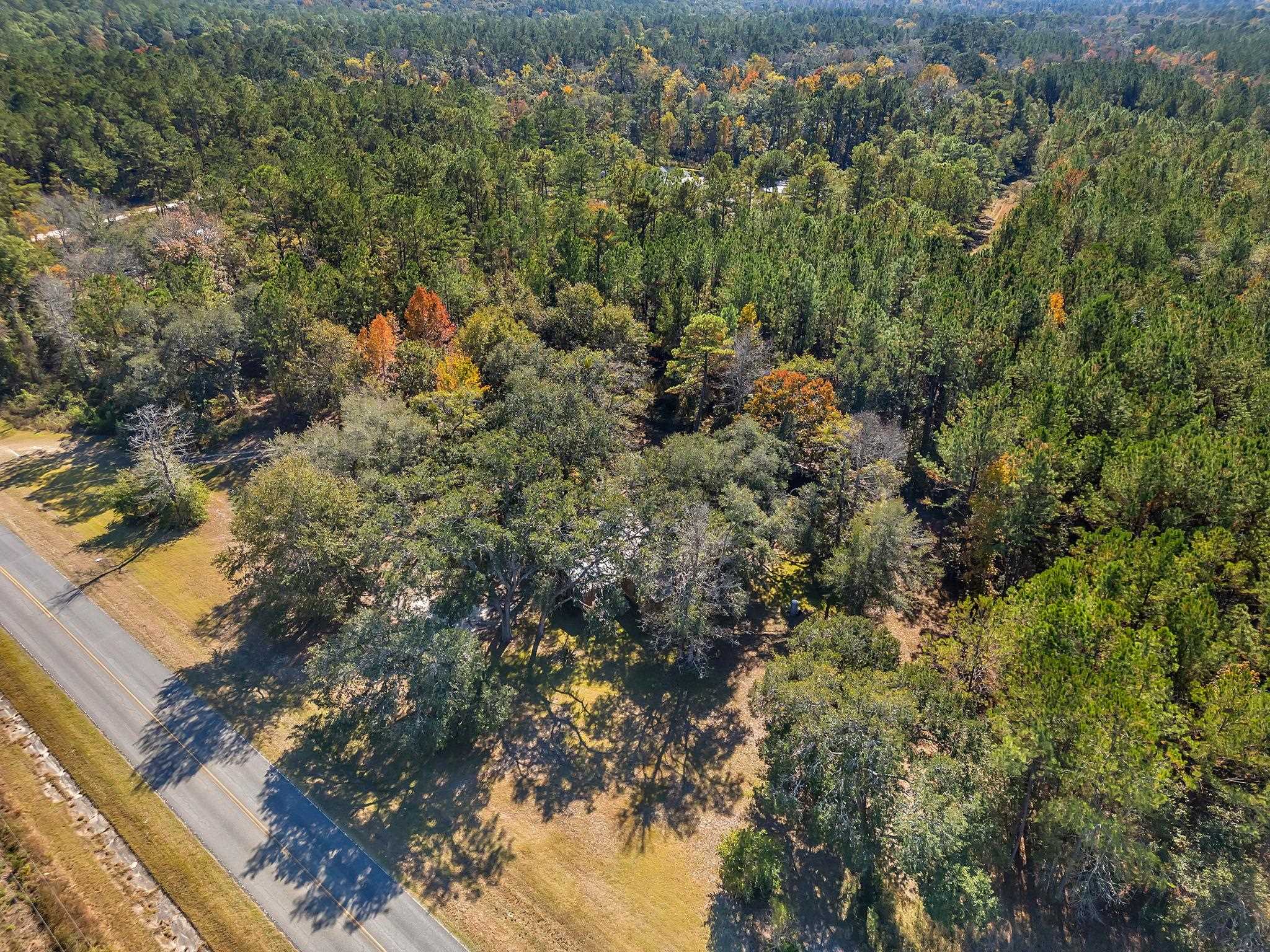 2503 Rabon Road Monticello, FL 32344 - Photo 5 of 29